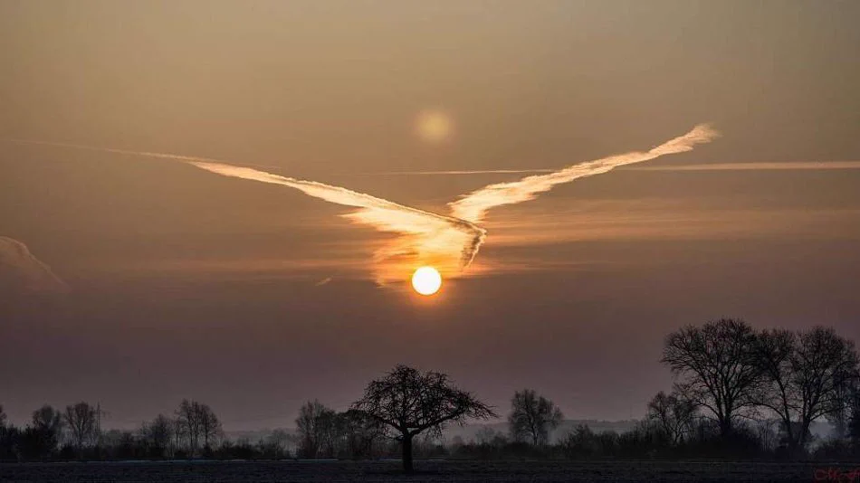 不死鳥のように夕焼けを舞う雲があまりの美しすぎるwww
