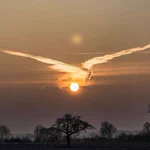 不死鳥のように夕焼けを舞う雲があまりの美しすぎる!