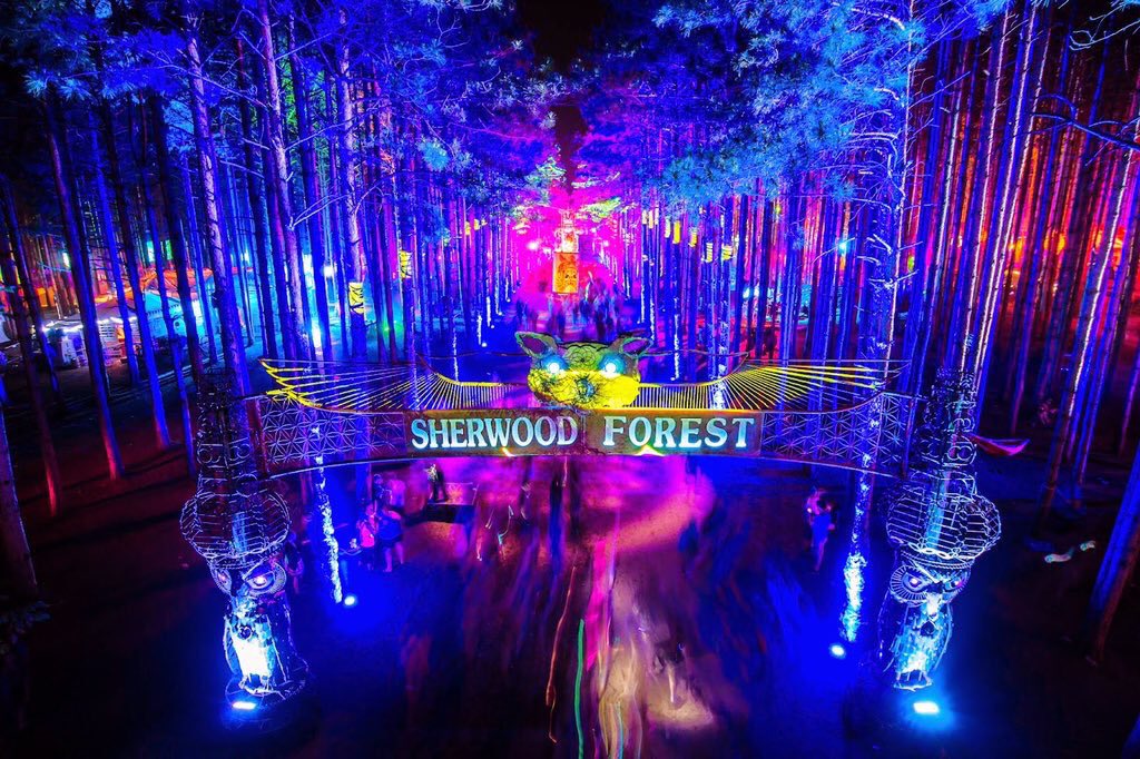 LifeAsARaver's tweet photo. Take Me To Electric Forest ⚡️🌲 https://t.co/FXj7X488wk