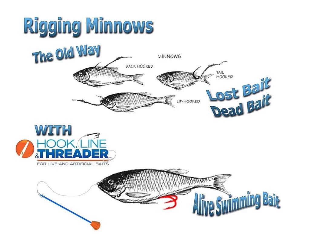 minnow threader