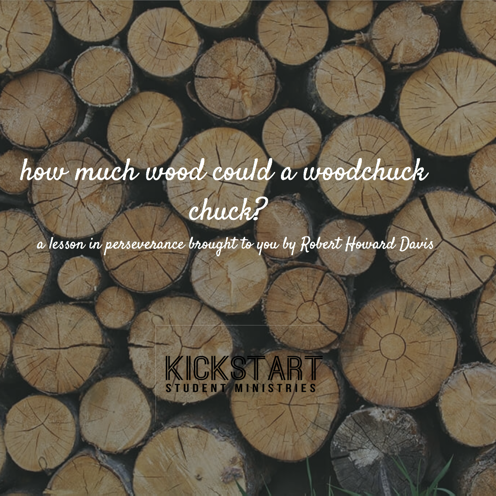 societyWECA's tweet photo. how much wood could a woodchuck chuck? #kickstartperseverance #kickstartyouth #chopwood https://t.co/4vRnX1Z0xe