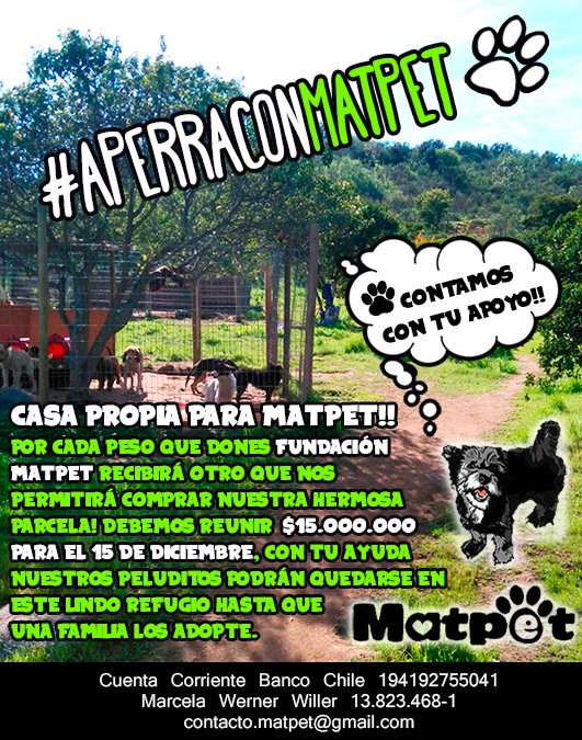Fundación Matpet tweet media