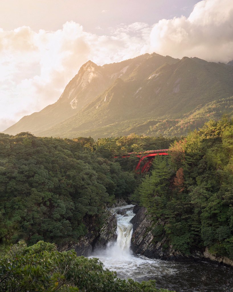 Sunshine through the rain on beautiful Yakushima island in southern Japan. https://t.co/DV86FnLHys https://t.co/5x6WBoglGz