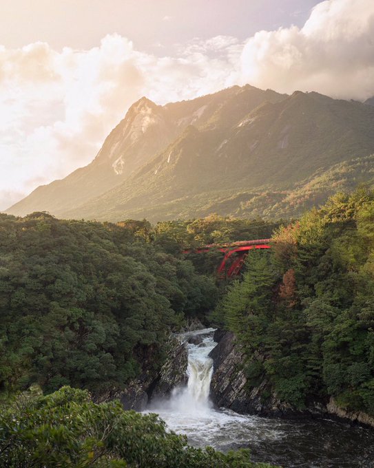 Sunshine through the rain on beautiful Yakushima island in southern Japan.  https://t.co/DV86FnLHys https://t<a href="/tag/stayandwander"class="tags"><span>#stayandwander</span></a>