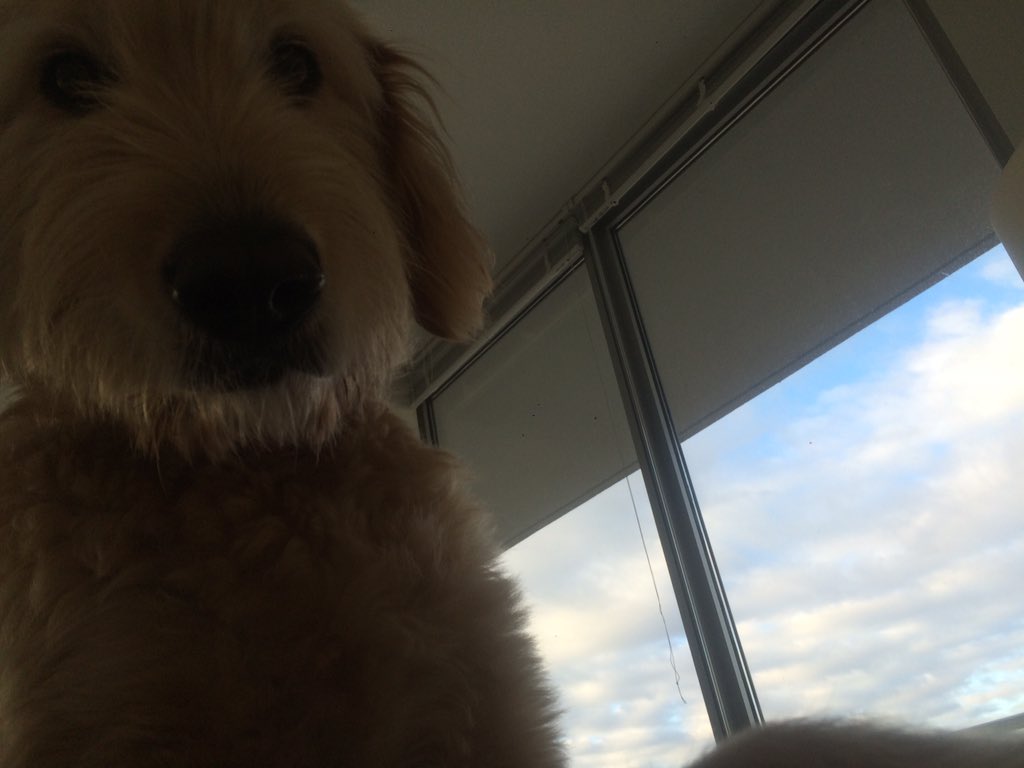 cureacough's tweet photo. I just love you Charley .... https://t.co/P4zgpOP14M