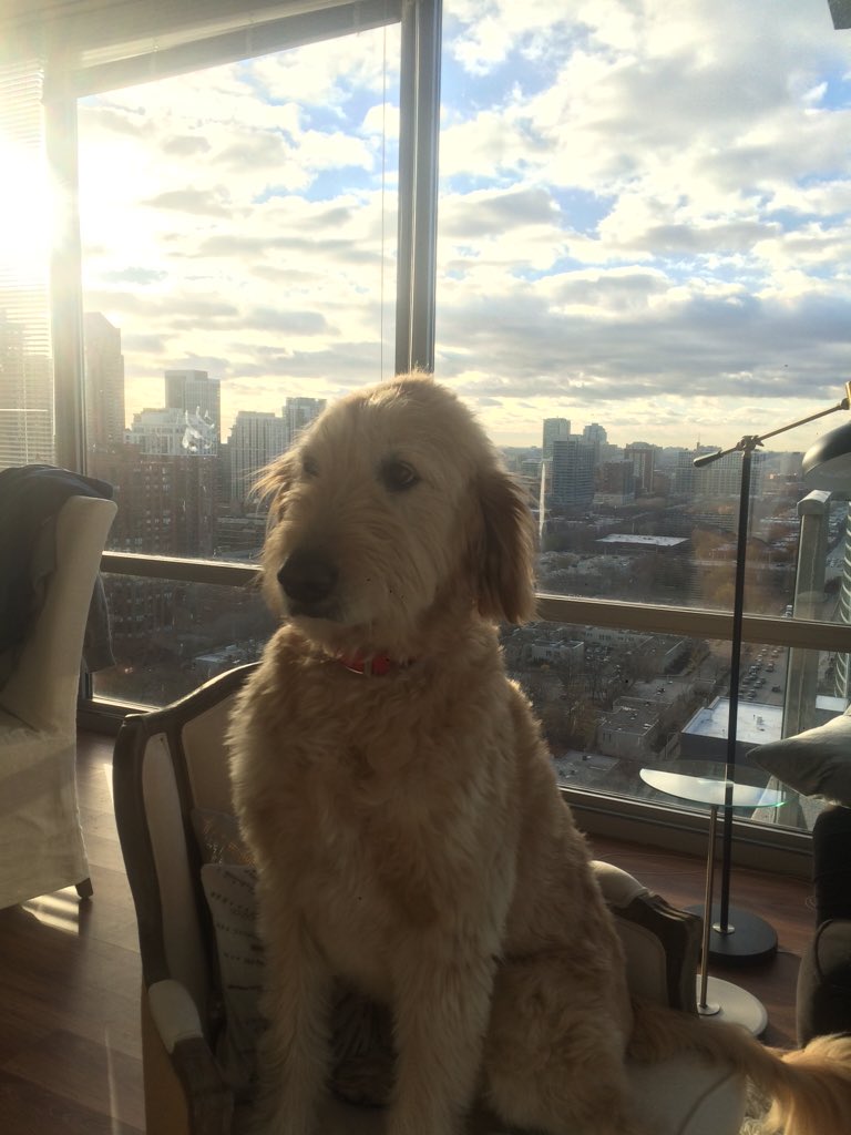cureacough's tweet photo. I just love you Charley .... https://t.co/P4zgpOP14M