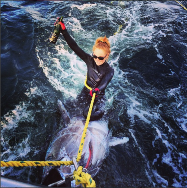 CBCNL's tweet photo. Halifax scientists concerned over tuna-riding photos

https://t.co/vOiWvEuCeZ https://t.co/iphfntYC7y