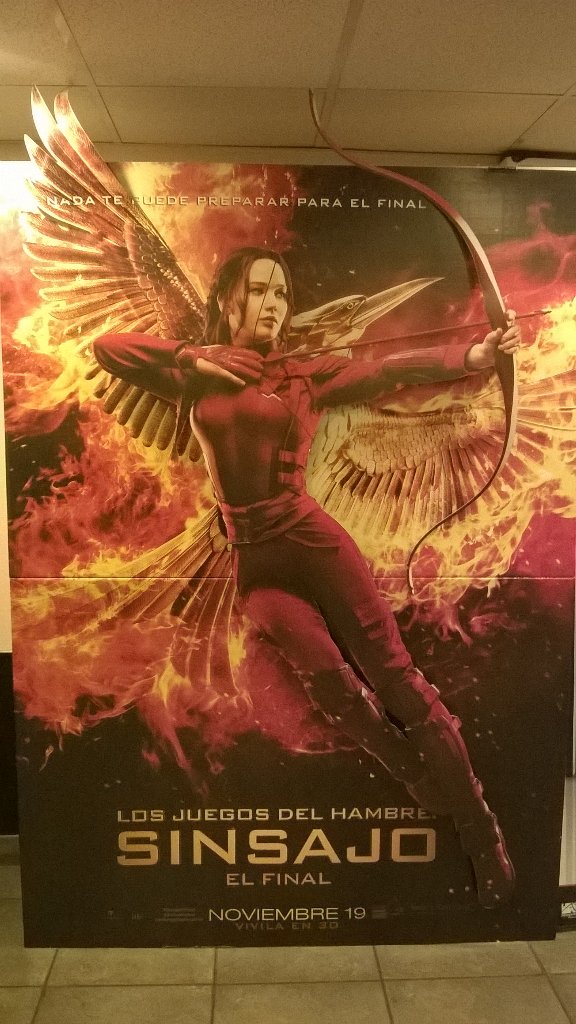 salva_fv's tweet photo. Nos quedamos sin saga @CamiTomasone !! #HungerGames #MockingjayPartII https://t.co/K2cBwEDWO0