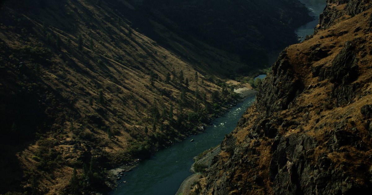 #RiverOfFundament trailer now up on <a href="/Indiewire/">IndieWire</a>: ow.ly/URR3p