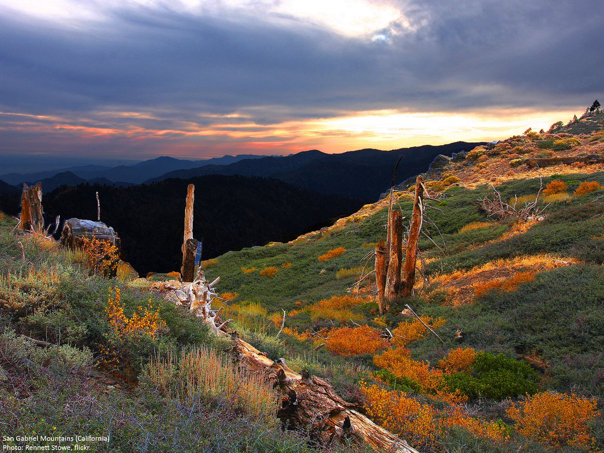 The Wilderness Society 🌳 tweet media