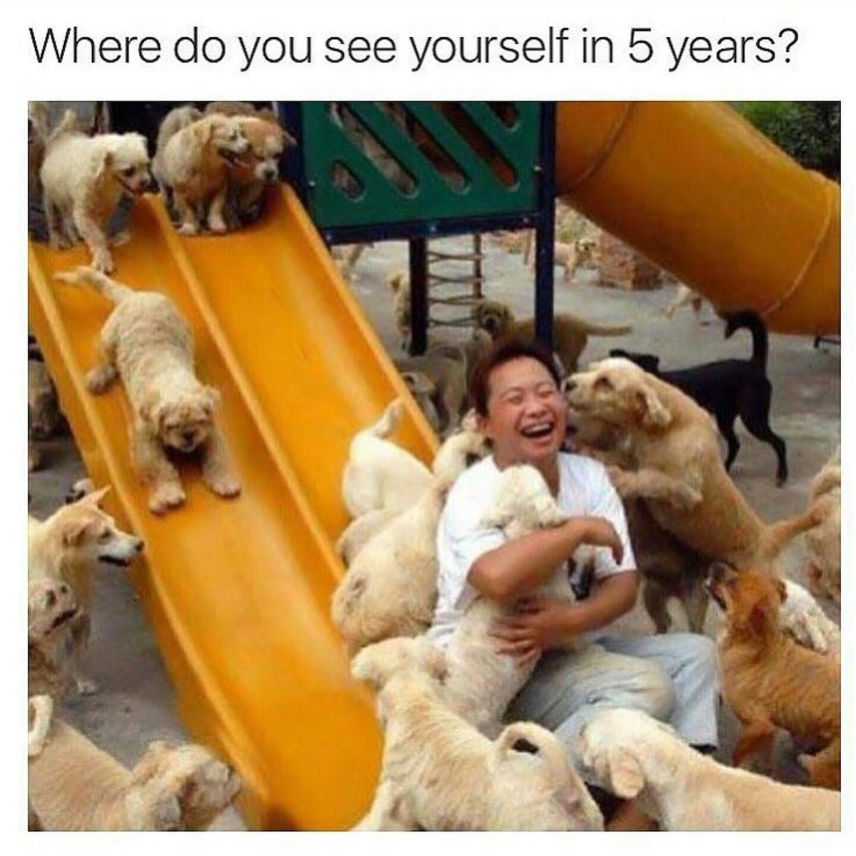 BettieRoop's tweet photo. Yup. #truestory https://t.co/EO3d8zxdJd