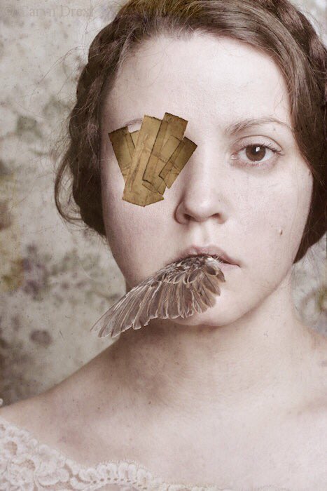 Twig the Wonder Kid tweet media