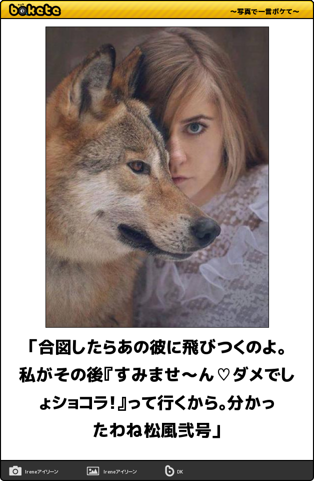 犬とその飼い主の間で行われた秘密のやりとりとは ボケて 11月23日 Togetter 犬とその飼い主の間で行われた秘密のやりとりとは ボケて 11月23日 Togetter