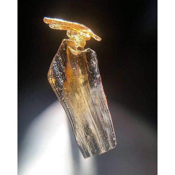 chroncierge's tweet image. Some super 🔥🔥 from the Fam! By @swagffc via #Repost
Some #organic #whitecookies grown by t… ift.tt/1T2Kaz0