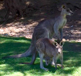 mactando's tweet image. Met a nice family camping during the week. Just us and them and 30 of their friends.