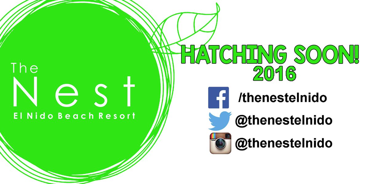 thenestelnido's tweet photo. We are hatching soon, follow our pages!! #elnido #palawan #philippines #resort #yoga #vacation #island https://t.co/XCQsqLe8NK