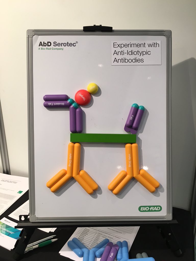 AmandaTurnerBio's tweet photo. Ready-made anti-idiotypic antibodies in Fab and IgG (and dog) formats for PK and ADA assays #EBF2015 https://t.co/2IndbTpwU1
