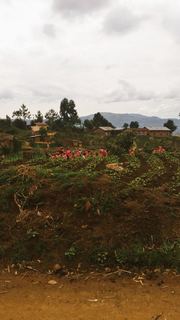 Ugandan school kids in bright pink - so cool!