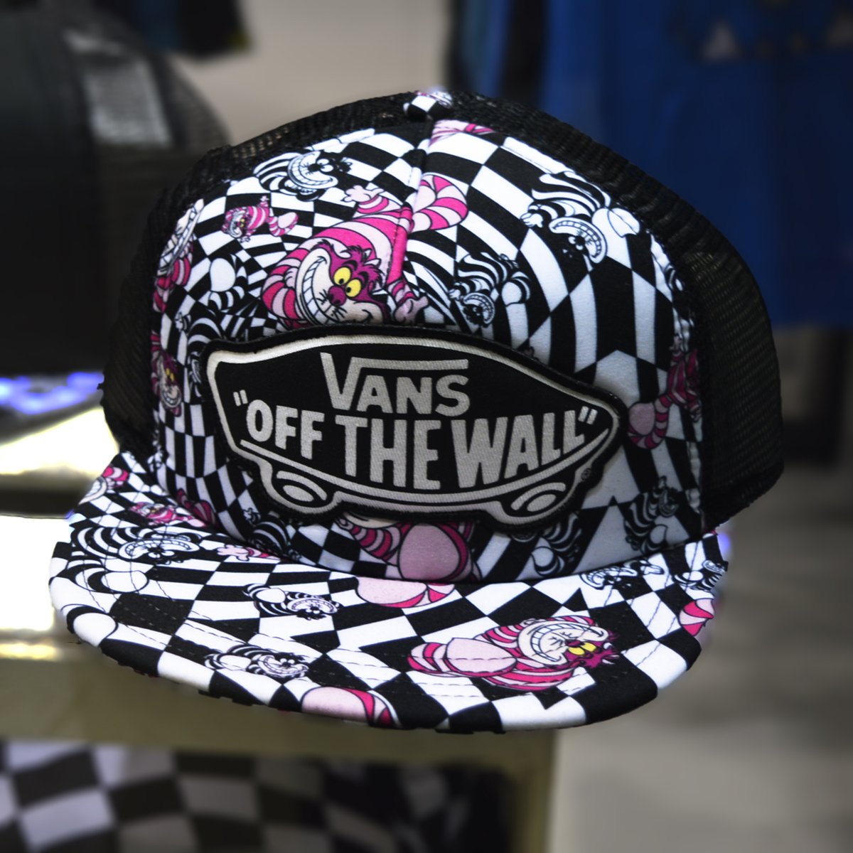 vans stregatto vans stregatto