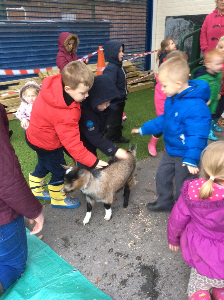 KearsleyStJohns's tweet photo. Enjoying @LittleBarnMFarm https://t.co/1IzrcSRX2K