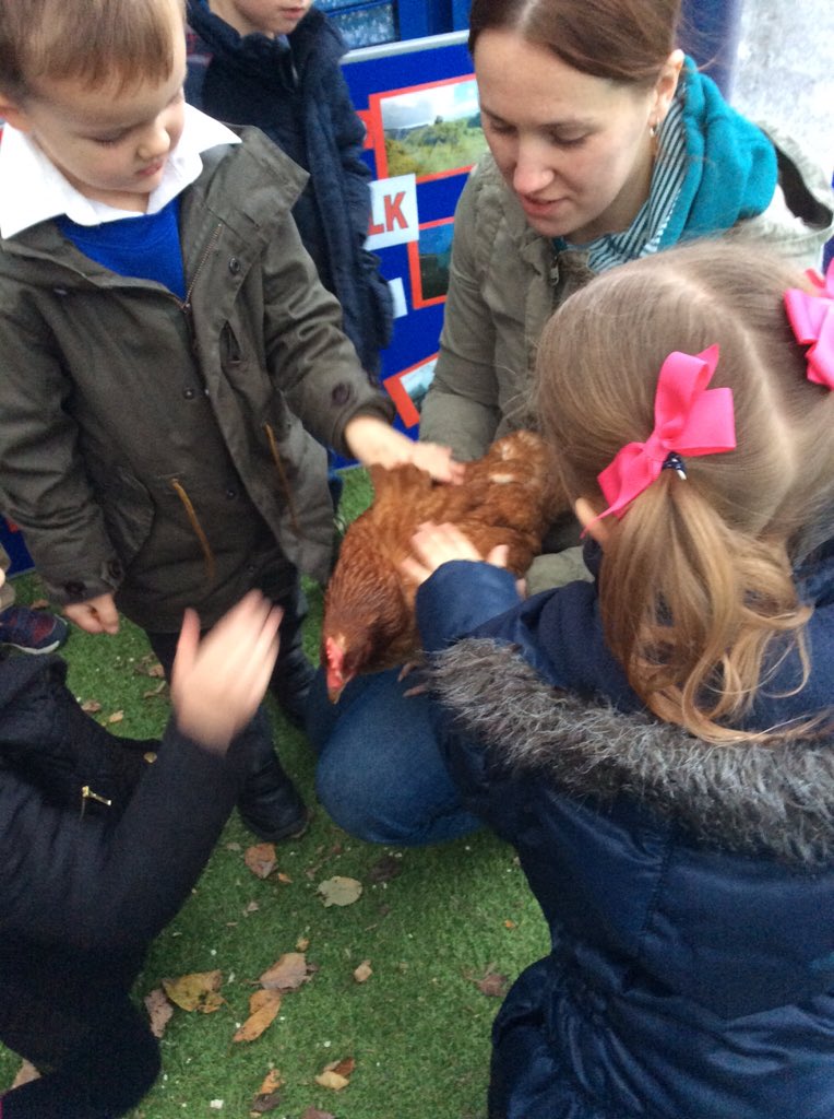 KearsleyStJohns's tweet photo. Enjoying @LittleBarnMFarm https://t.co/1IzrcSRX2K