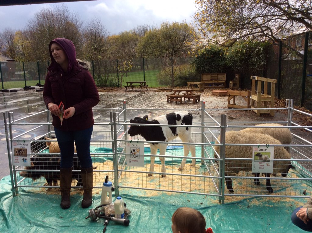 KearsleyStJohns's tweet photo. Enjoying @LittleBarnMFarm https://t.co/1IzrcSRX2K
