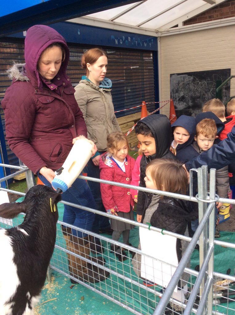 KearsleyStJohns's tweet photo. Enjoying @LittleBarnMFarm https://t.co/1IzrcSRX2K