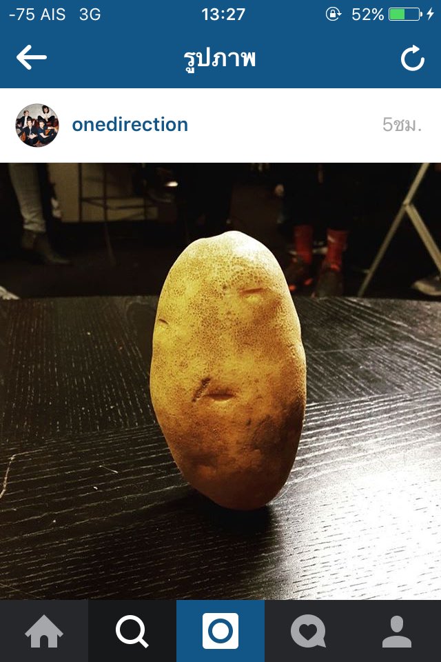 Mink199X's tweet photo. A:1Dมึงเมนใครวะ 
B:ที่เข้ามาใหม่อะ
A:เห้ยๆ มีด้วยเหรอใครๆ
B:นี่ไง *แนบภาพ* ชื่อมันฝรั่ง

5555555555555 #อัลไล https://t.co/AwSNkZOhUk
