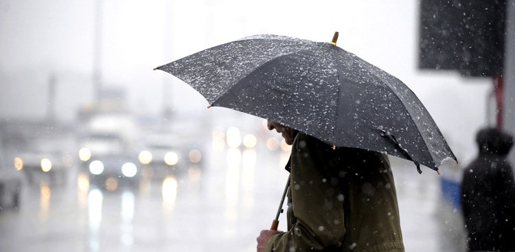 The Muse tweet media