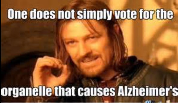 LyosomePres's tweet photo. When you vote for mitochondria and you don't know it causes Alzheimer's disease @TallBiology #organellewars https://t.co/vSmEaJzJmH