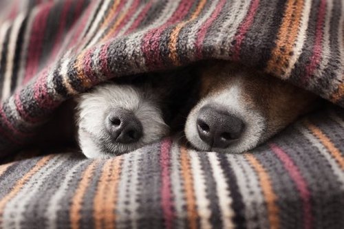 scearley's tweet photo. #thiscouldbeusbutyouplayin https://t.co/2nO15vqQYF