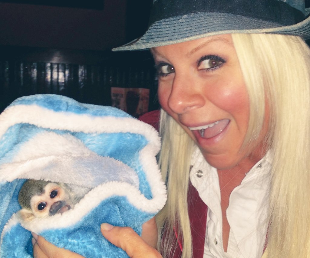 GoldyKnows's tweet photo. Usually people sneak in booze. We sneak in a #Monkey!
#MonkeyIssues #monkeys #GoldyLocks #Animals #Cute #Adorable https://t.co/l4QdoR3SXM