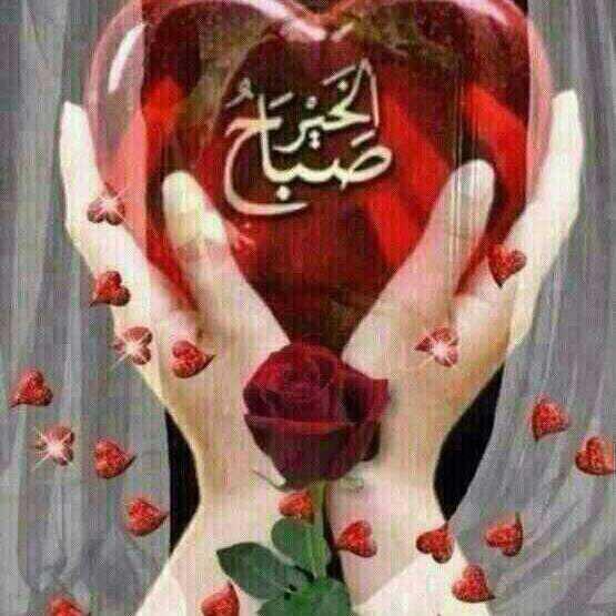 bsam77615's tweet photo. @Bint_Almuhazaa @zeenalsham3 https://t.co/mQzN84VAVc
