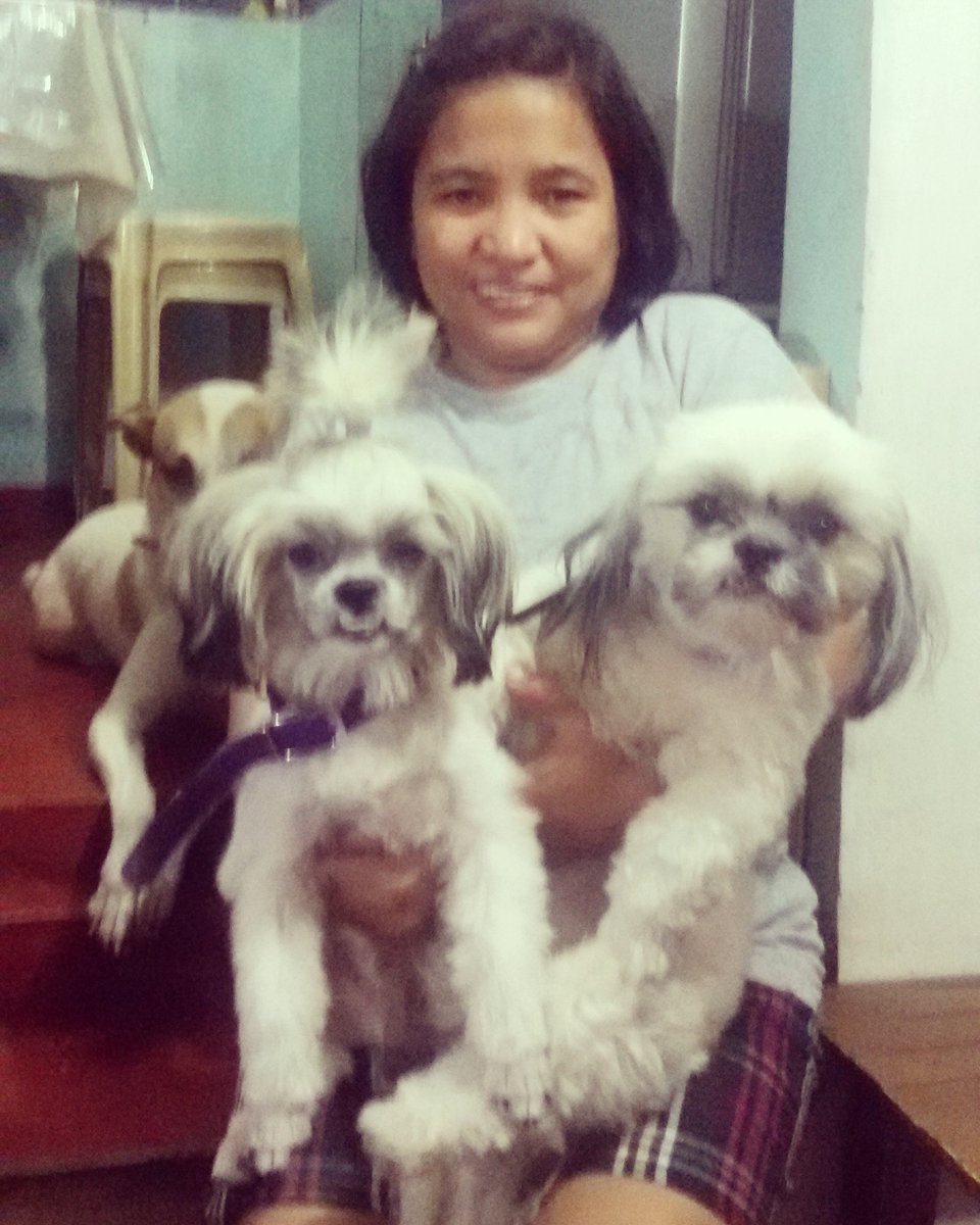 ColinCuttie's tweet photo. My 1 week visitor.. #casperthefriendlydog #colincuttie https://t.co/GLtW7Gn0ei