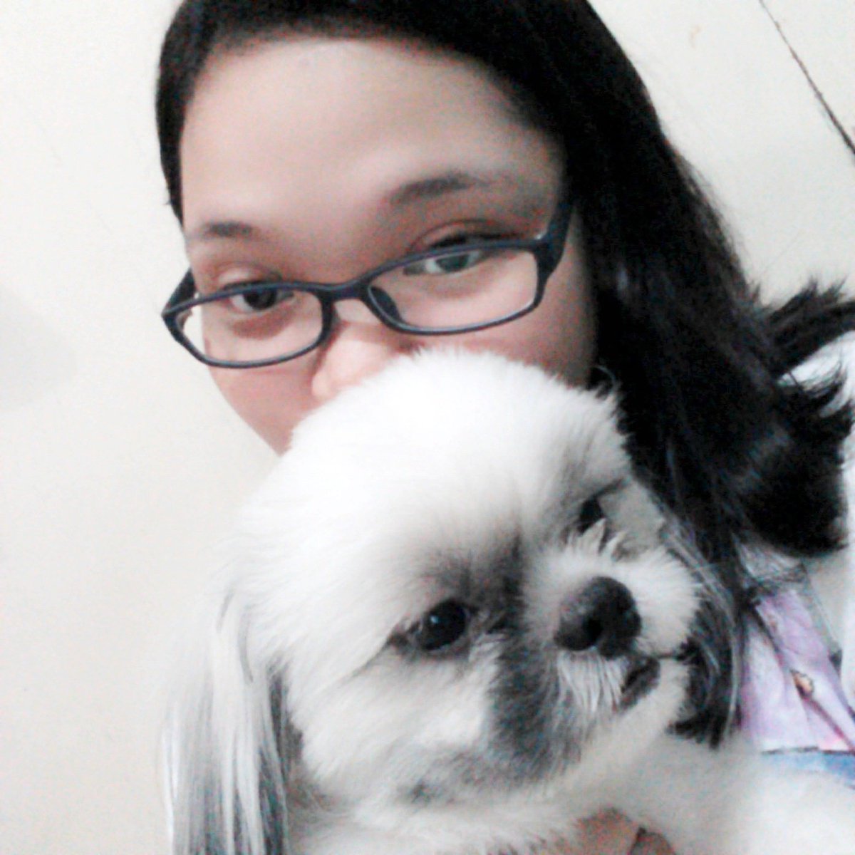 ColinCuttie's tweet photo. Owner ❤ https://t.co/TsASQc3dem