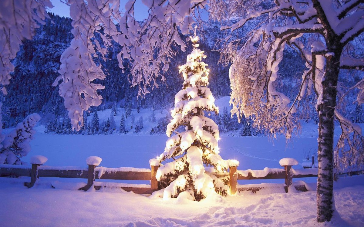 freephotoz's tweet photo. Christmas Lights Tree And Snow Wallpaper 1920x1200
#MerryChristmas https://t.co/1SXQbWL8cn