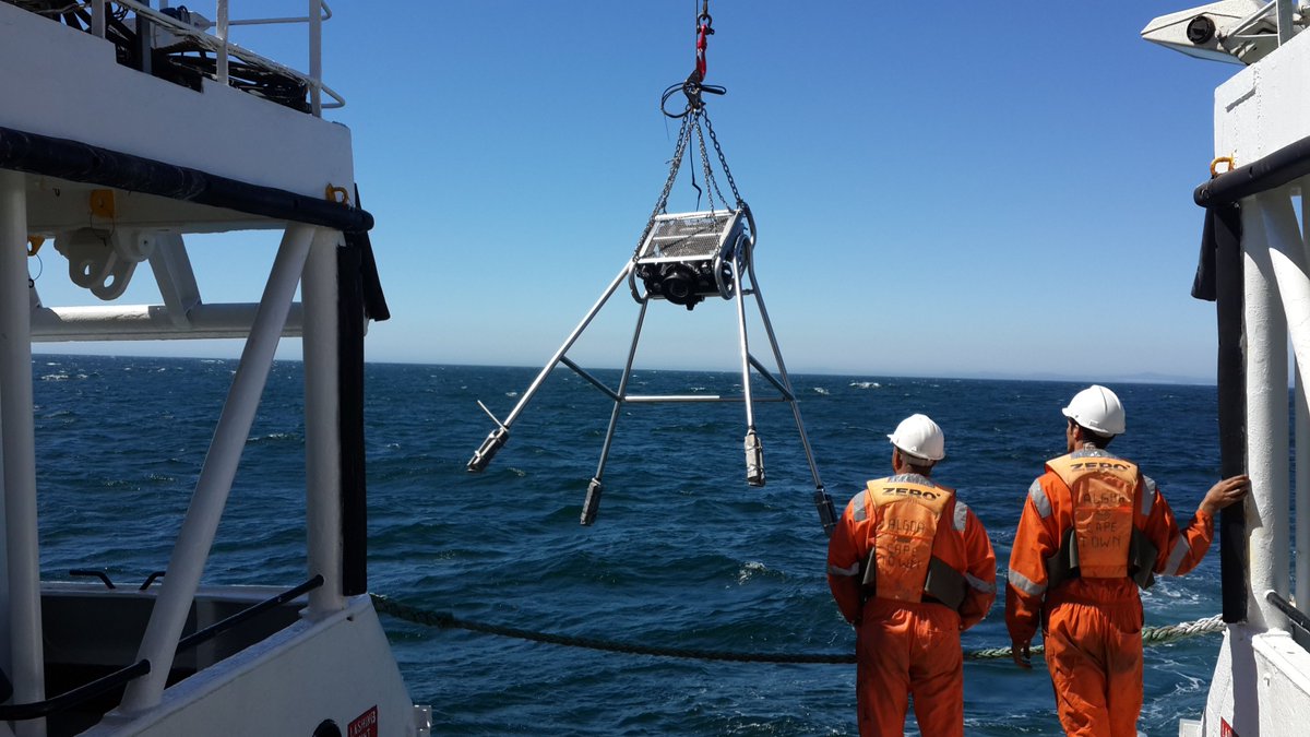 Spider Monkey #benthic camera being lowered for #sea trials earlier this week.Thnx for having us @ZeeeZoleka