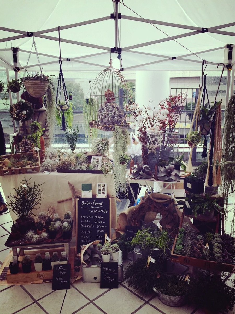 ট ইট র 公式 横浜ベイクォーター 11月21日 土 に3fゲート広場で多肉植物や観葉植物 等を取り扱うお店を集めたグリーンの販売会を開催します 5fのアクタスも出店決定 T Co Zzoh73wwke 横浜 ベイクォーター アクタス 多肉植物 T Co
