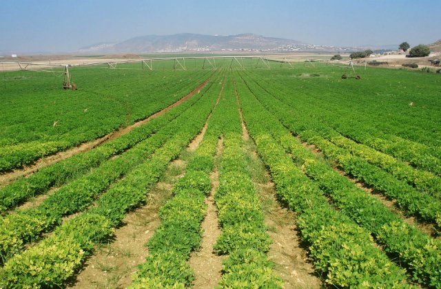 ZeroOneBank's tweet photo. #Israël et les technologies de l'#eau #WatTech https://t.co/tGWl0PWNl5 https://t.co/3L2voAvmE7