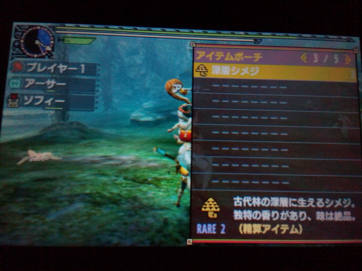 ディアブロス Mhyiankutku 深層シメジ 竜琥珀のかけら 特産ゼンマイ 不老蝶 の4つは精算アイテムです