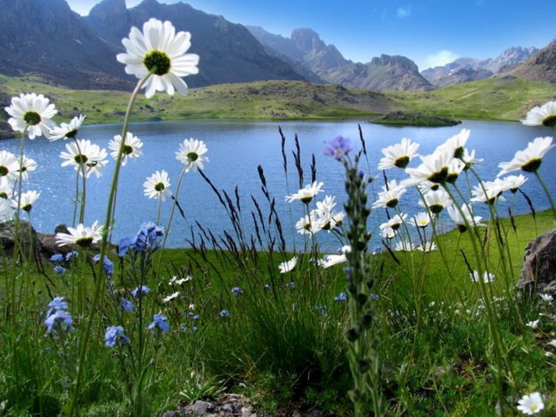 RizeVali's tweet photo. Yeşilin her tonunu görebildiğiniz bu şehir, fotoğrafçıların vazgeçilmezleri arasında yerini alıyor. https://t.co/HM1zJMGlzw