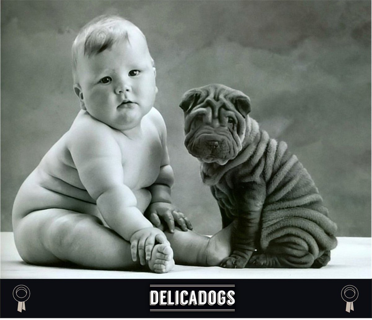Delicadogs's tweet photo. ¡Feliz #DiaDelNino ! Tu amigos perrunos te felicitamos! #Delicadogs https://t.co/kEzp07CQOM
