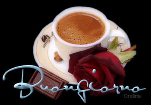 freedom_caffe tweet picture