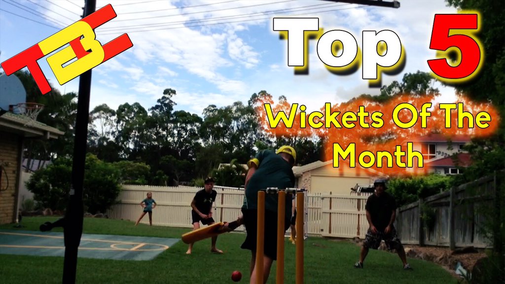 TheBackyardCricketer tweet media