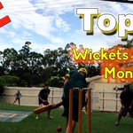 Photo by TheBackyardCricketer (@BackyrdCricketr)