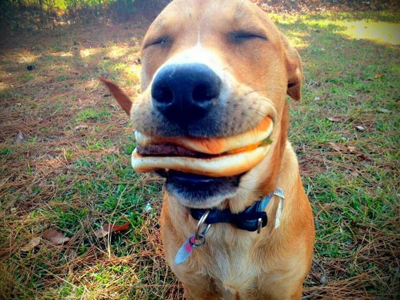 Rover definitely got the Friday feeling.

#Stamford #StamfordStone #FridayFeeling

stamfordstone.co.uk