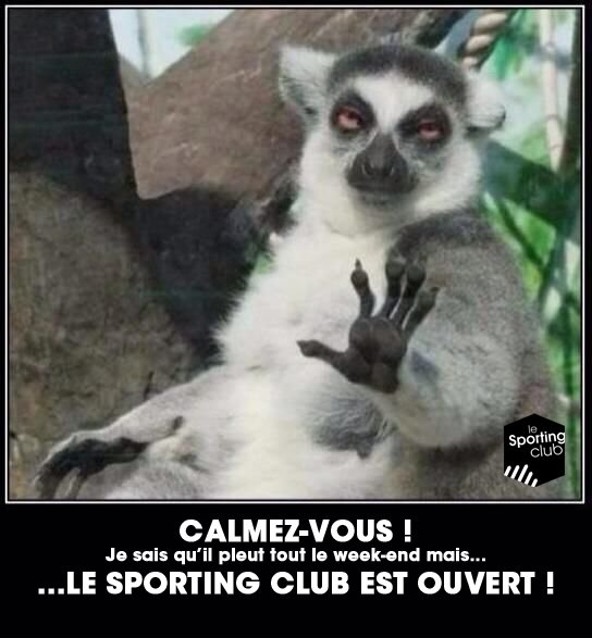 Le_SportingClub's tweet photo. LSC // IL PLEUT ! https://t.co/jspnvW5l1z