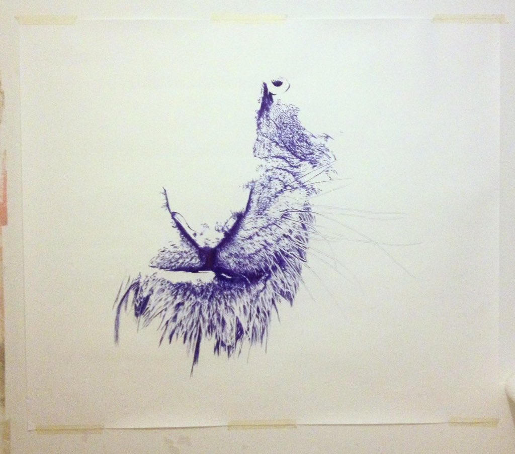 Daphne ter Wee tweet media