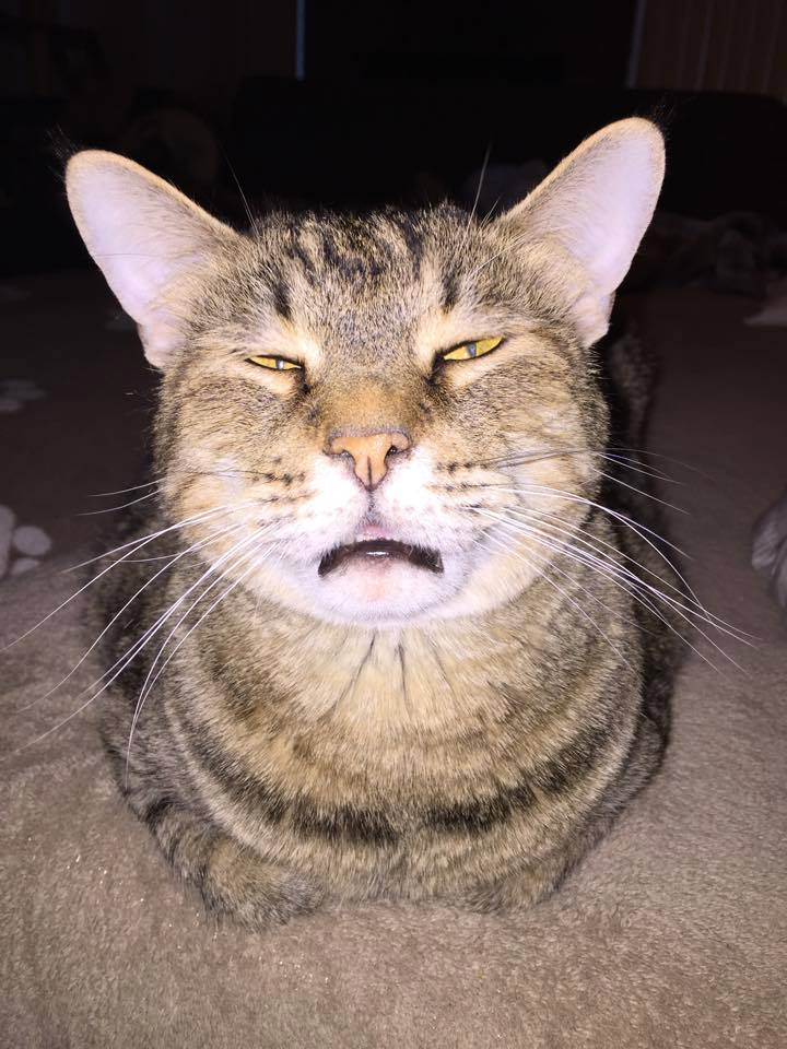 It's Friday. And that benefits me how exactly?