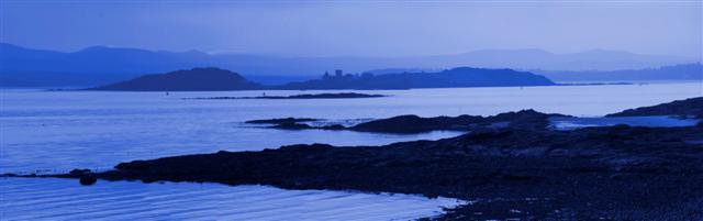 FifeScreen tweet media